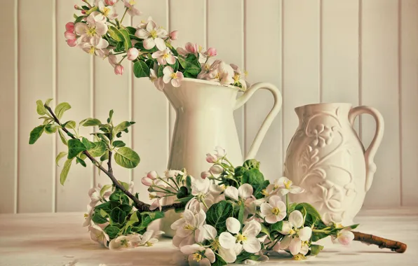 Picture flowers, branch, pink, pitcher, white, flowering
