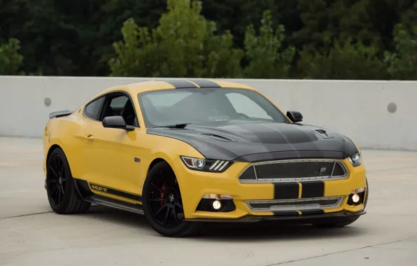 Picture auto, yellow, Mustang, Ford, Shelby, Shelby, the front, muscle