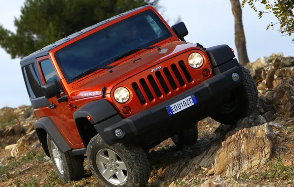 Picture trees, red, stones, jeep, SUV, off road, the front, jeep, bias, wrangler, Rubicon, Ringler, rubicon