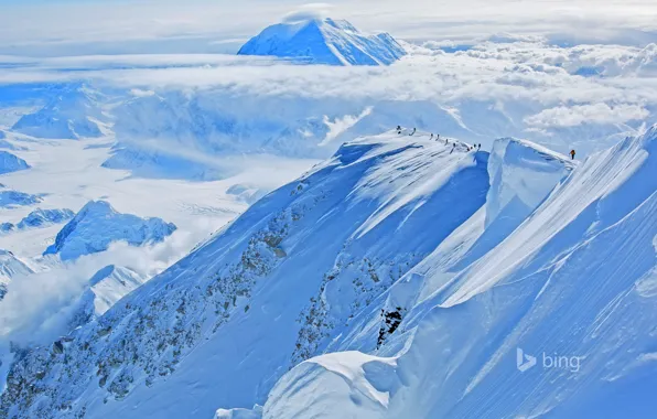 Picture snow, Alaska, USA, Denali National Park, climbers, mount McKinley