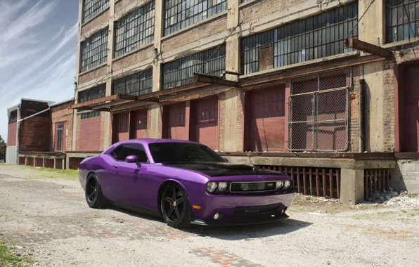 Picture Dodge, SRT8, Challenger, Supercharged, Factory