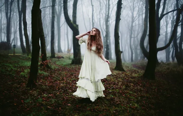 Picture forest, girl, fog, morning, dress