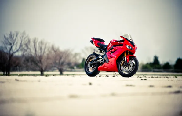 Picture the sky, trees, red, motorcycle, red, bike, Triumph, triumph, Dayton, Daytona 675