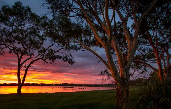 Picture Sunset, Australia, Big Swamp
