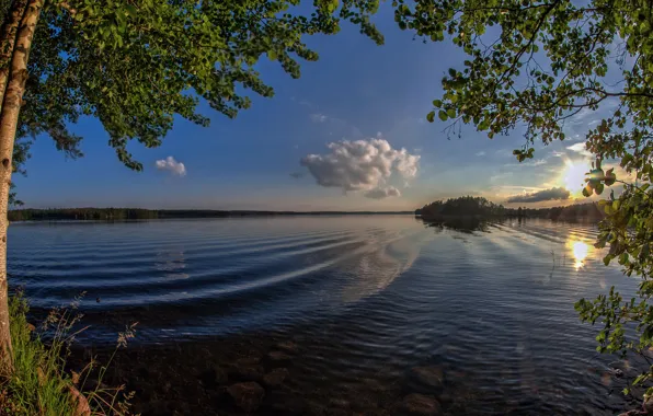 Picture wave, trees, lake, dawn, morning, Finland, Finland, Lake Cariari, Kouvola, Karijarvi Lake, Kouvola