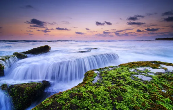 Picture algae, stones, the ocean, dawn, Bali, Indonesia, Canggu, Lima Beach