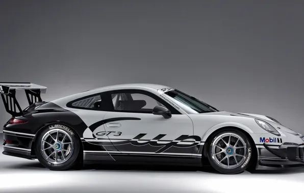 Picture 911, Porsche, 2013, GT3 Cup
