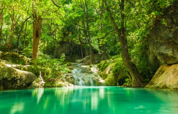Picture greens, forest, summer, trees, lake, tropics, stream, stones, waterfall, jungle