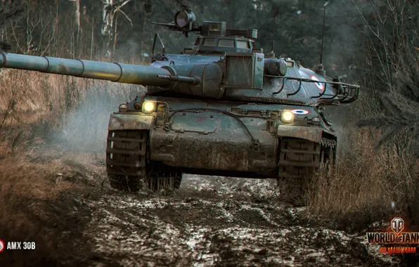 Picture forest, top, the Frenchman, World of Tanks, AMX 30B