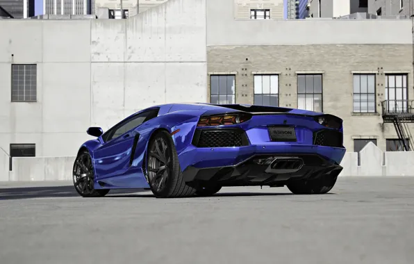 Picture blue, lamborghini, blue, back, aventador, lp700-4, Lamborghini, aventador