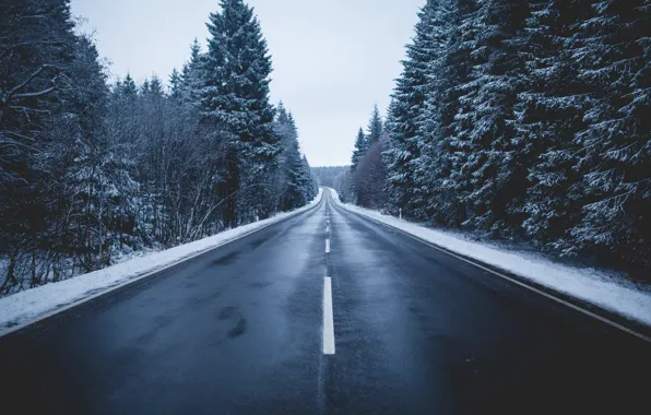 Picture winter, road, forest, the sky, snow, trees