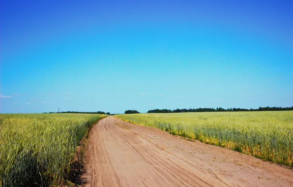 Picture road, field, the sky, ear, dust