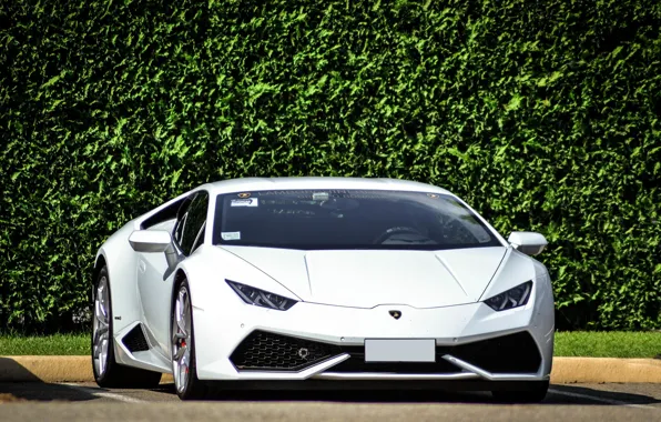 Picture Lamborghini, white, 2014, Huracan, LP610