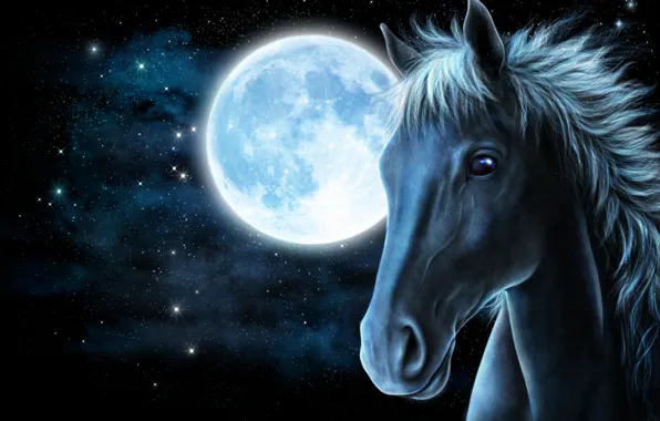 Picture face, stars, rendering, horse, the moon, horse