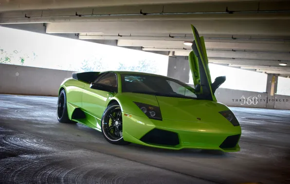 Picture green, Lamborghini, the door, Lambo