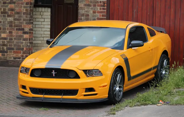 Picture mustang, ford, yellow, 302, boss