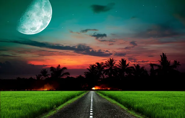 Picture road, the sky, grass, stars, sunset, night, the moon