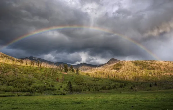 Picture forest, summer, the sky, mountains, nature, photo, rainbow