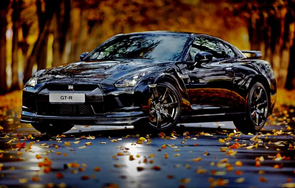 Picture auto, autumn, leaves
