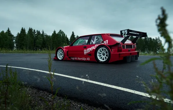 Picture The sky, Forest, Track, Lancia, Delta, 1992, Side, Cloudy, Shrubs, EVO1, Lasupra