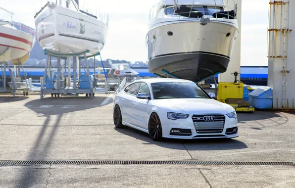 Picture Audi, white, wheels, vossen