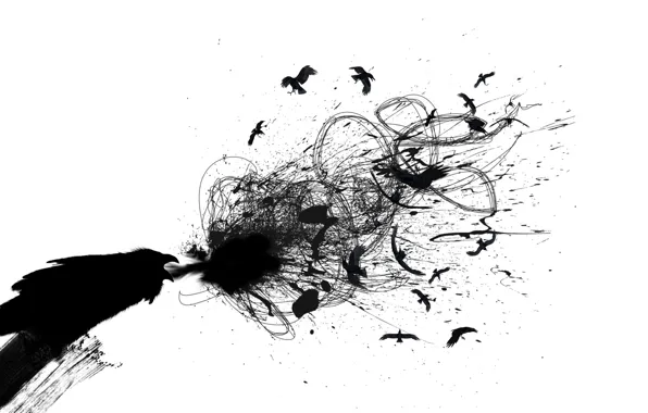Picture abstraction, black and white, minimalism, Raven