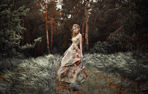 Picture forest, grass, look, girl, trees, nature, the wind, dress, hairstyle