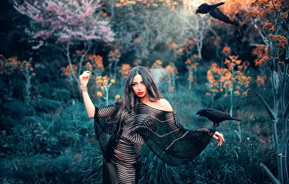 Picture girl, birds, nature, makeup, Queen of the Forest
