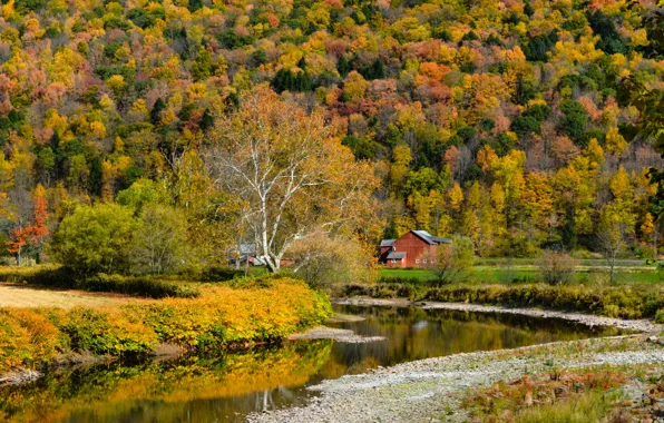 Picture autumn, forest, mountains, house, river
