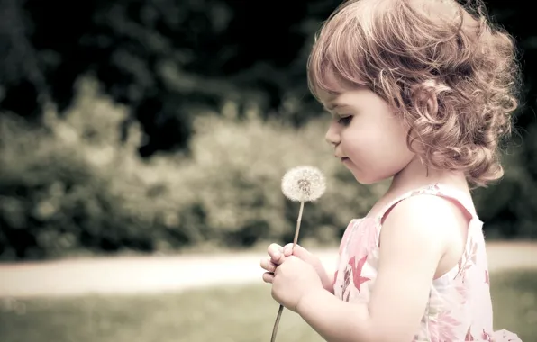 Picture flower, dandelion, child, girl, curls, child