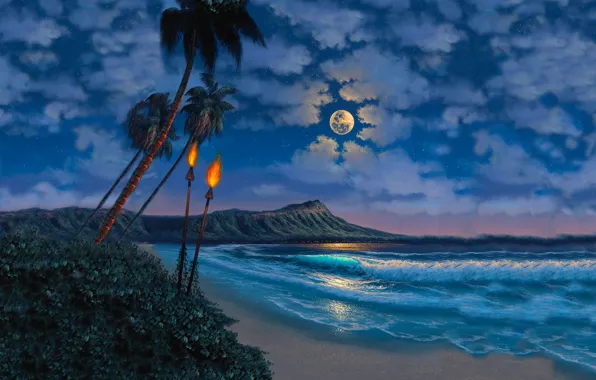Picture beach, the sky, clouds, palm trees, The ocean, The moon, torches