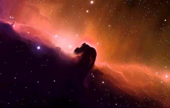 Picture space, stars, nebula, art, horse head
