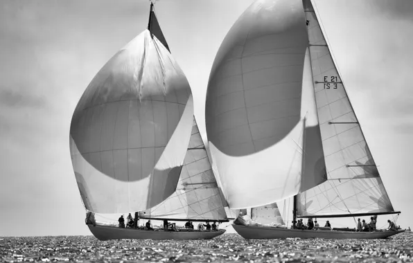 Picture sea, photo, sails, black and white, regatta, ahtay