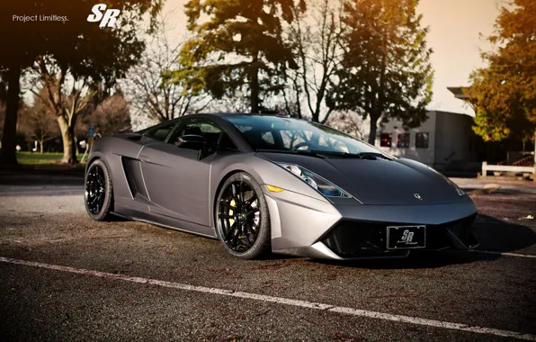 Picture Lamborghini, Gallardo, SR Auto Group, Limitless
