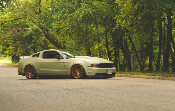 Picture road, tuning, Mustang, ford, tuning, stance, 2013, swglob, mustang 5.0