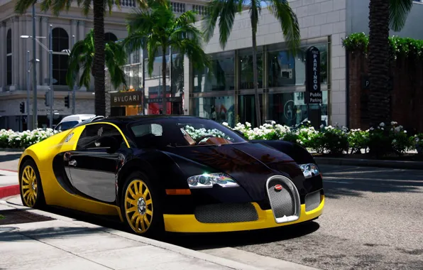 Picture Bugatti, Bugatti Veyron, California, 16.4