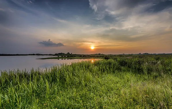 Picture the sky, grass, the sun, sunset, river, shore