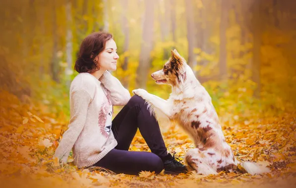 Picture autumn, girl, dog