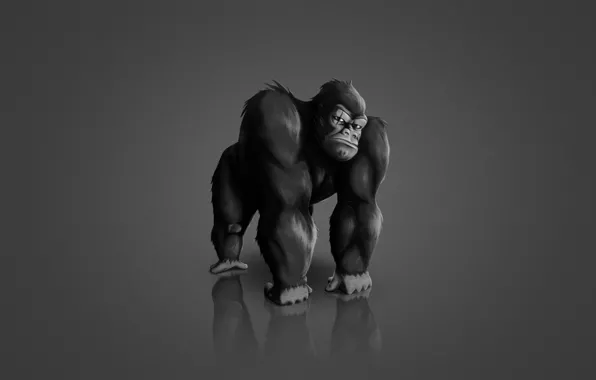 Picture the dark background, animal, monkey, gorilla, monkey, gorilla