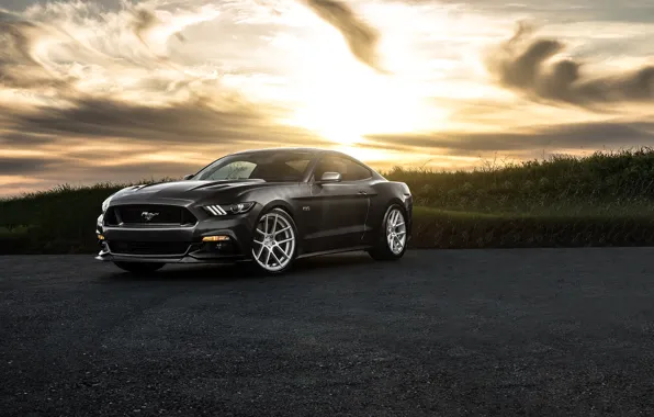 Picture Mustang, Ford, Muscle, Car, Front, Sunset, Wheels, Before, 2015, Garde
