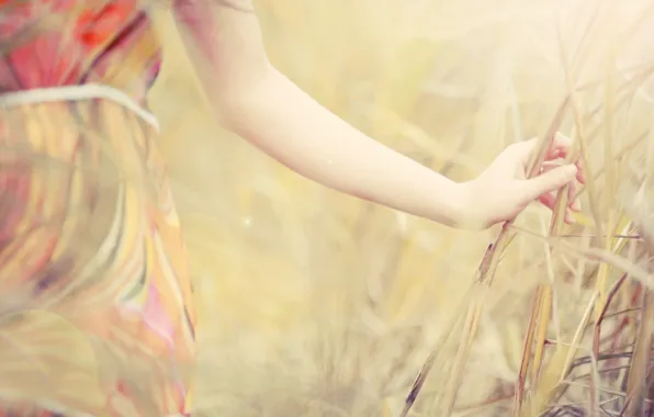 Picture field, summer, grass, girl, hand