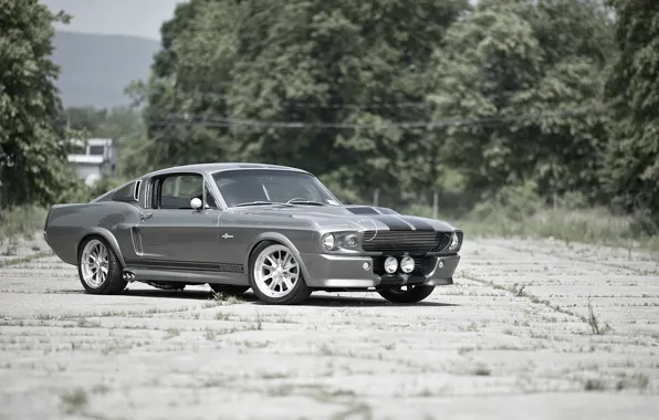 Picture tuning, GT500, Ford Mustang, Ford Mustang, Shelby Eleanor