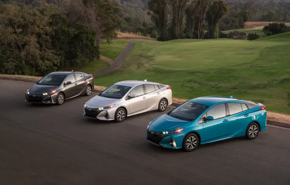 Picture Toyota, Car, 2017, Metallic, Prius Prime