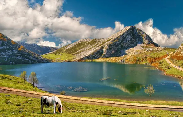Picture the sky, mountains, lake, horse