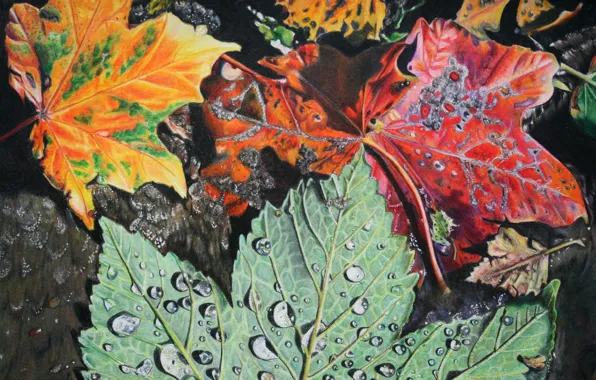 Picture leaves, drops, foliage, Autumn, painting