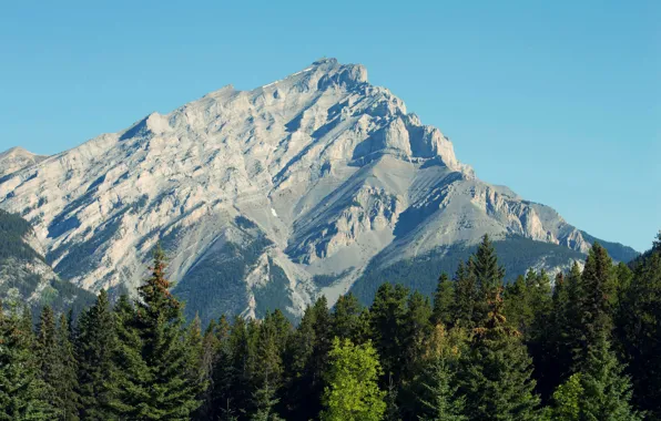 Picture forest, the sky, Mountain, mountain, Cascade, Banff national park, Cascade