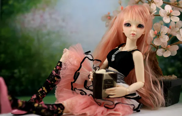Picture hair, doll, beauty, book