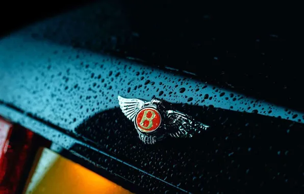 Picture drops, Bentley, logo, Bentley