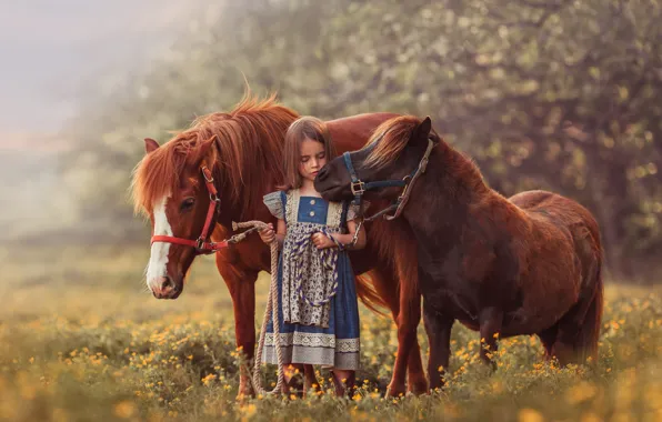 Picture summer, girl, pony