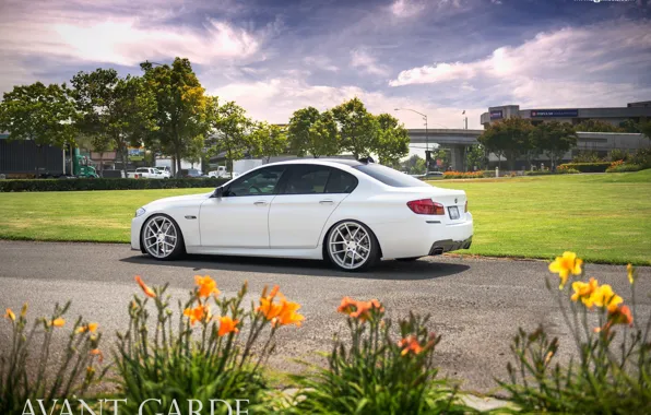 Picture white, M-pack, agforged, BMW 5-Series